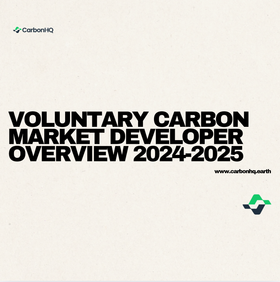 Voluntary Carbon Market Developer Overview 2024-2025